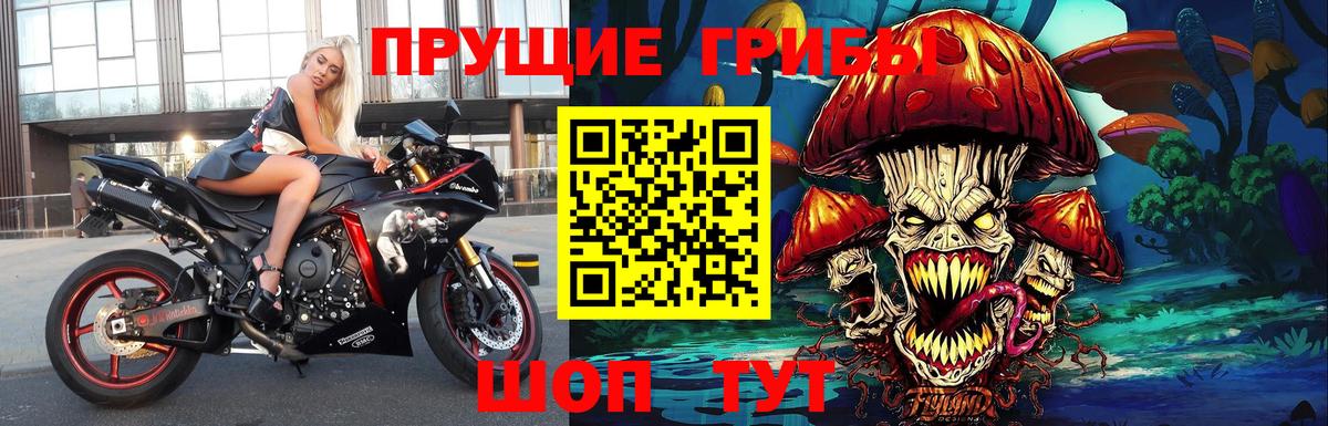 Галлюциногенные грибы GOLDEN TEACHER Воронеж